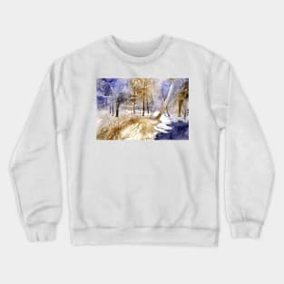 akwarelka 40 Crewneck Sweatshirt